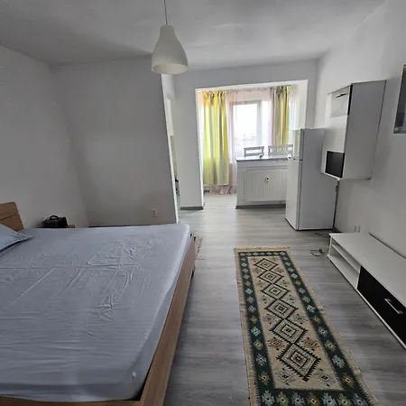 One Bedroom Studio Flat Apartment Craiova